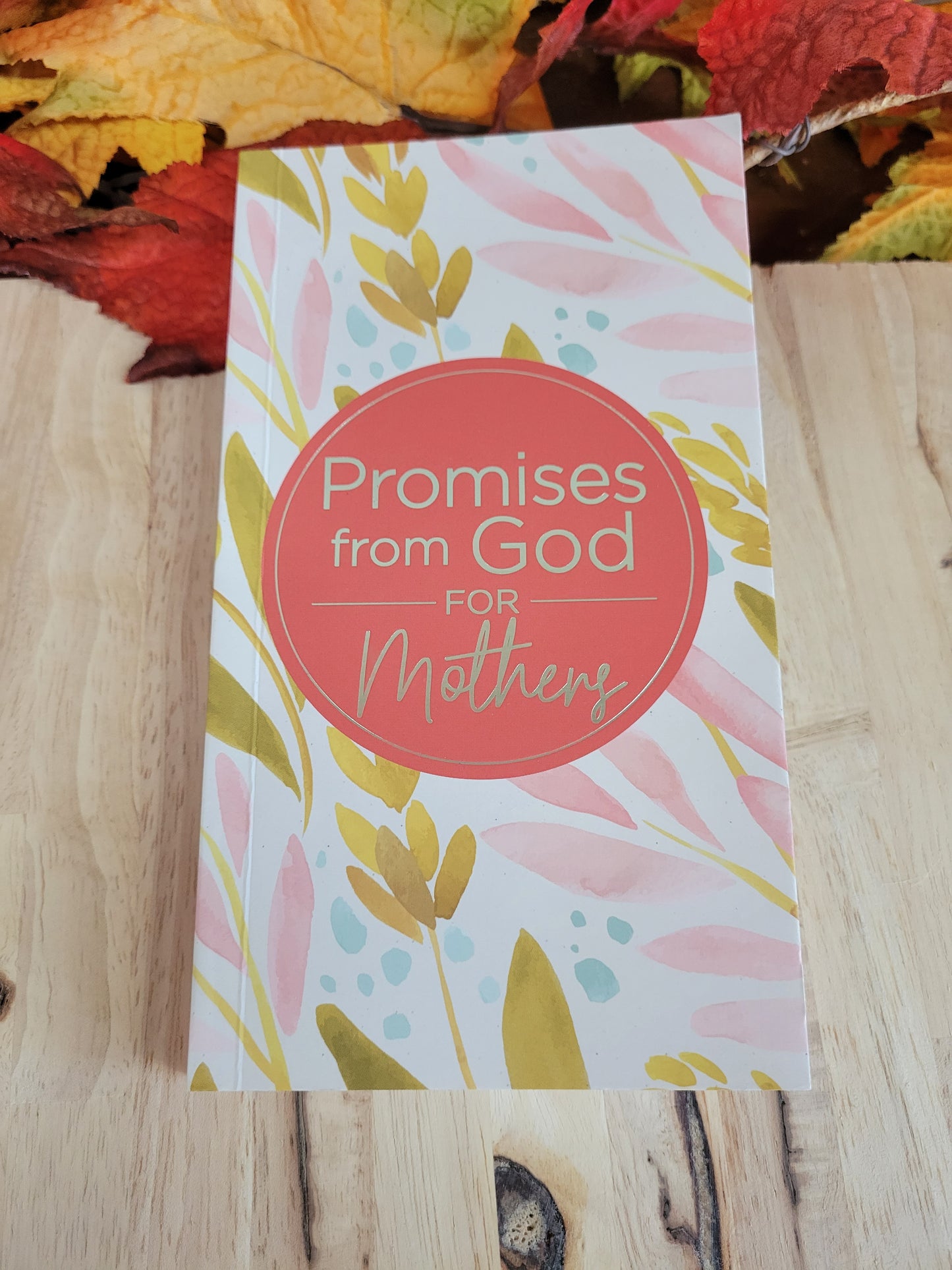 Promises from God for Mothers